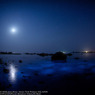 Noctiluca of moonlight☆