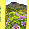 日光白根山登頂の山旅2012(8)