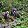 日光白根山登頂の山旅2012(12)