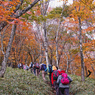 秋色の両神山登頂2012(25)