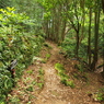 P5270043