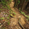 P5270054