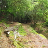P5270055