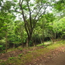 P5270060