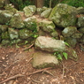 P5270061