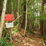 P5270099