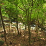 P5270124