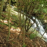 P5270132