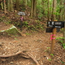 P5270259