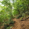 P5270262