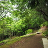 P5270273