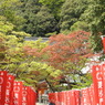 毘沙門