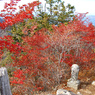 秋色の両神山登頂2012(33)