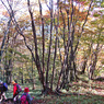 秋色の両神山登頂2012(40)