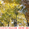 秋色の両神山登頂2012(41)