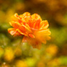 C39756AA-A0AD-482B-B144-B8CEC035DF3D
