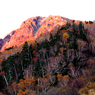 北岳登頂の山旅2006：2日目(5)
