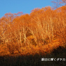 北岳登頂の山旅2006：2日目(6)