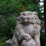 狛犬_高円寺氷川神社