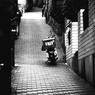 尾道旅情1