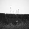 尾道旅情14