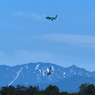 FDA機は着陸態勢 カモメは着水態勢