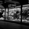P1080590