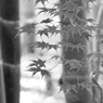 P1080651