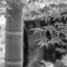 P1080644