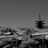 P1080546