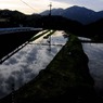 中世の記憶