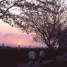 帰り道