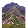 八ヶ岳・赤岳登頂の山旅2002：3日目(32)