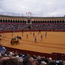 Plaza de Toros de la Maestranza