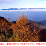 仙丈ケ岳登頂の山旅2001：2日目(14)