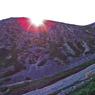 仙丈ケ岳登頂の山旅2001：2日目(18)