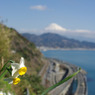 水仙と峠道