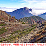 仙丈ケ岳登頂の山旅2001：2日目(25)