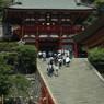 大銀杏の跡