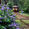 紫陽花の駅にて