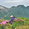 ミヤマキリシマ探訪山行 in 九重連峰2012：2日目(33)