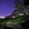 2011.04.14 夜桜撮影 038