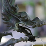 手水舎_龍_妙法寺