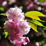 2011.04.21 旭川周辺夜撮影 038