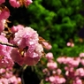 2011.04.21 旭川周辺夜撮影 048