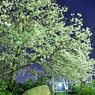 2011.04.21 旭川周辺夜撮影 062