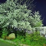 2011.04.21 旭川周辺夜撮影 068