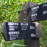 リハビリハイク：鎌倉葛原岡・大仏ハイキングコース2014(6)