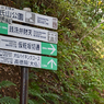 リハビリハイク：鎌倉葛原岡・大仏ハイキングコース2014(18)