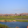 桜越しの須川岳(栗駒山）